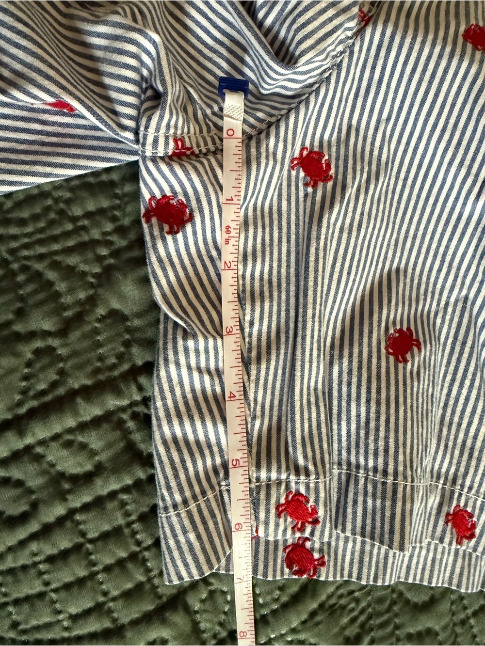 Talbots Blue and White Striped Shorts with Red Crab Embroidery - Picture 8 of 8